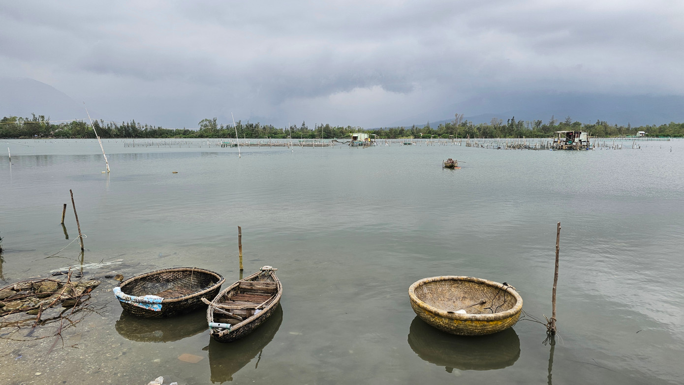 Hồi kết cho nghề nuôi hàu 'lạ lùng' bằng vỏ lốp cao su ảnh 7