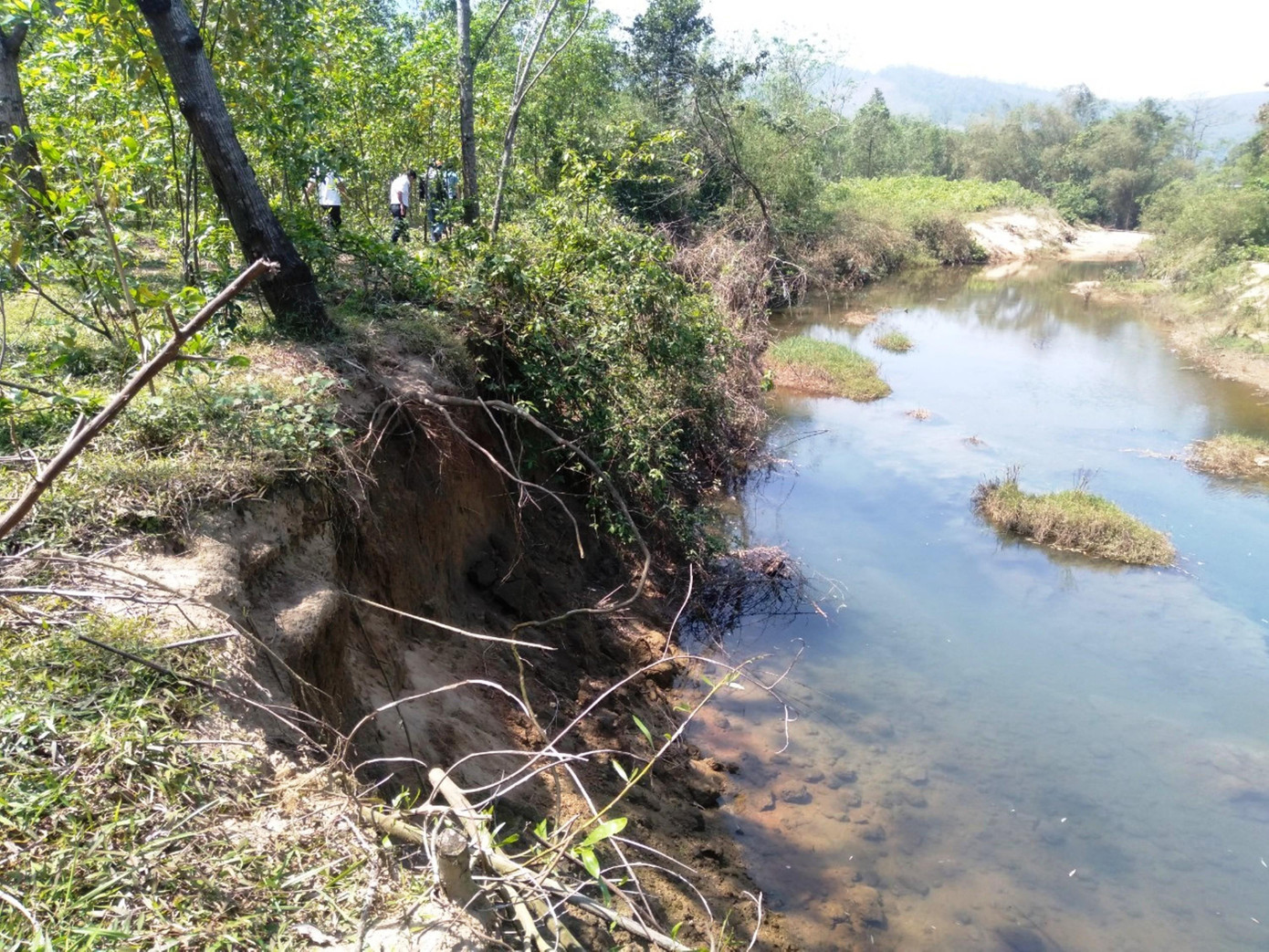 Sạt lở dữ dội tại bờ sông Bù Lu thời gian trước đây đã "nuốt chửng" nhiều ruộng vườn, rừng cây.