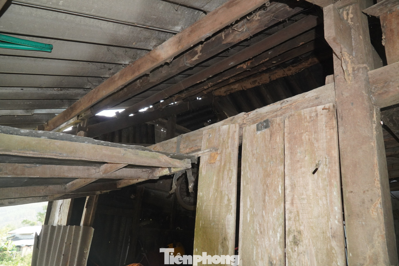 Mỗi khi mùa mưa bão tới, thôn Phú Hải lại trở thành “điểm nóng” về phòng chống thiên tai của xã. Những căn nhà thấp lè tè bị tốc mái, sạt vách, người dân phải chạy đi trú nhờ hàng xóm vì sợ nhà sập… đã không còn là chuyện mới. Dù biết nguy hiểm cận kề, nhưng việc sửa chữa, xây mới nhà cửa của người dân nơi đây là không thể. Mỗi khi mùa mưa bão tới, thôn Phú Hải lại trở thành “điểm nóng” về phòng chống thiên tai của xã. Những căn nhà thấp lè tè bị tốc mái, sạt vách, người dân phải chạy đi trú nhờ hàng xóm vì sợ nhà sập… đã không còn là chuyện mới. Dù biết nguy hiểm cận kề, nhưng việc sửa chữa, xây mới nhà cửa của người dân nơi đây là không thể.