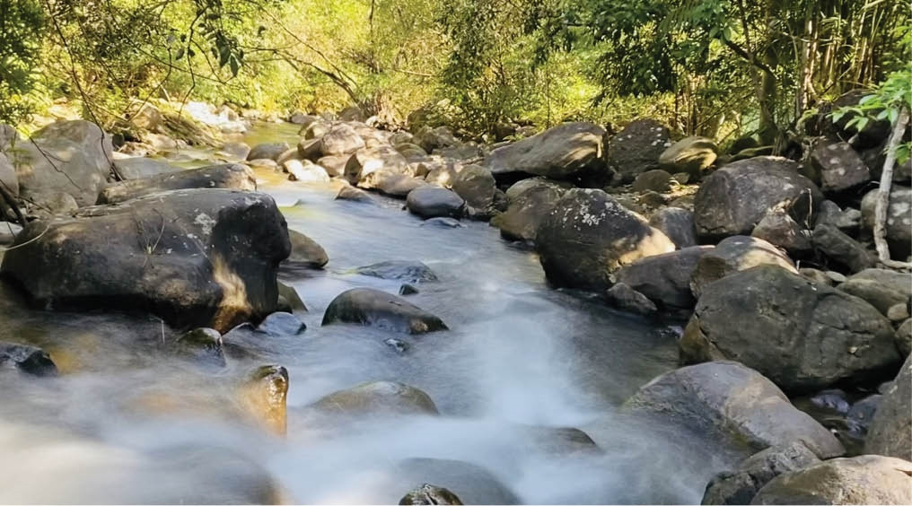 Một dòng suối giữa núi rừng huyện Phú Lộc, TT-Huế. Ảnh minh họa