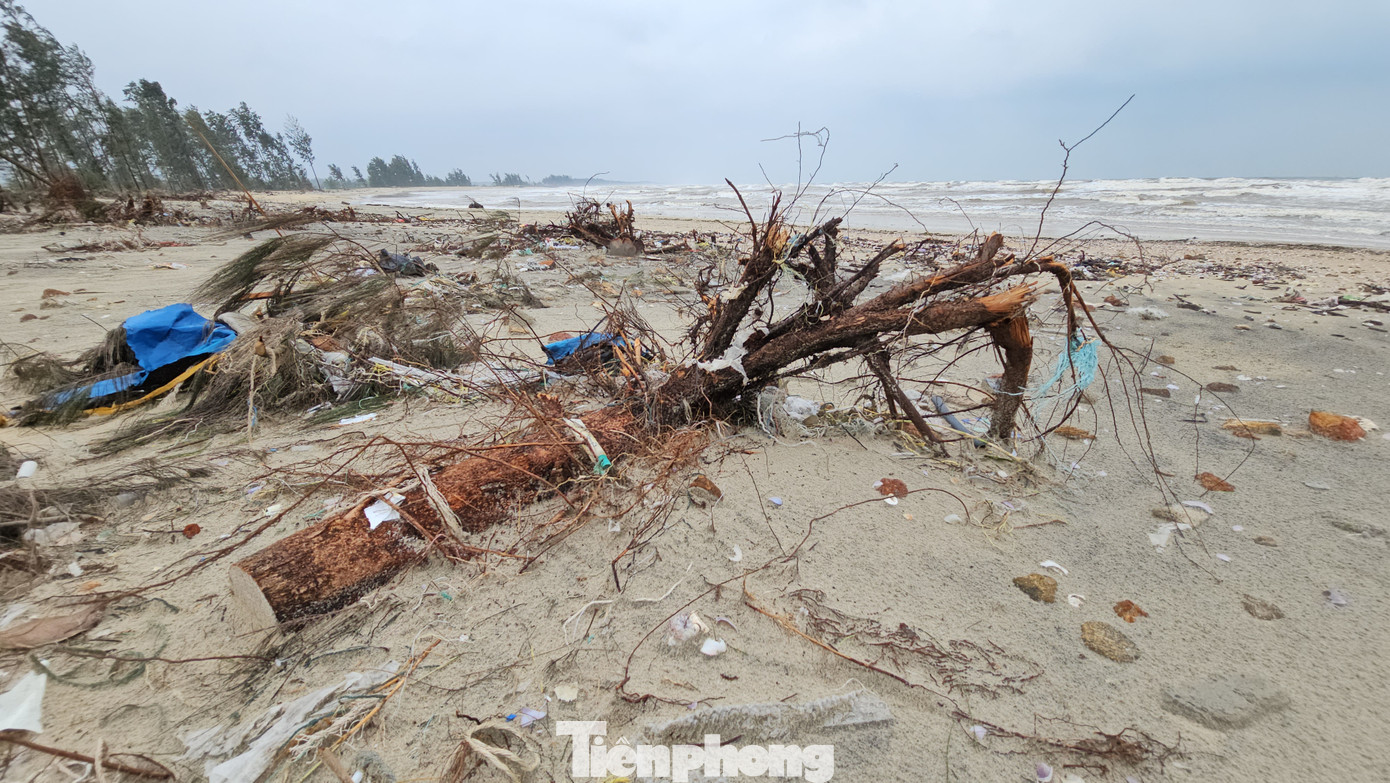 Sạt lở bờ biển tại xã Giang Hải đã xảy ra từ hàng chục năm nay, với mức độ nguy hiểm ngày càng gia tăng khi những cánh rừng phi lao phòng hộ ven biển dần biến mất do bị sóng lớn xô đổ, cuốn trôi, “nuốt chửng”.
