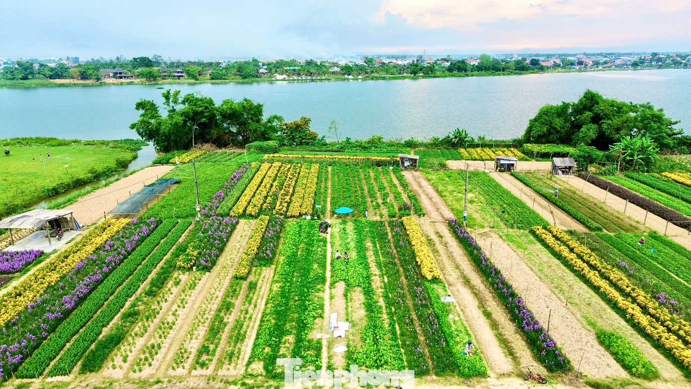 Xã Phú Mậu xưa và nay là phường Dương Nỗ còn có vựa hoa lớn nhất xứ Huế - làng hoa Phú Mậu. Với hàng chục ha đất trồng hoa tập trung ở các vùng Tiên Nộn, Vọng Trì, Thế Vinh, Thanh Tiên, đây là địa phương cung cấp lượng hoa tươi lớn nhất cho Huế và các tỉnh, thành lân cận. Mỗi dịp lễ Tết, nơi đây rộn ràng cảnh mua bán hoa tươi, mang sắc Xuân về khắp miền Trung. Xã Phú Mậu xưa và nay là phường Dương Nỗ còn có vựa hoa lớn nhất xứ Huế - làng hoa Phú Mậu. Với hàng chục ha đất trồng hoa tập trung ở các vùng Tiên Nộn, Vọng Trì, Thế Vinh, Thanh Tiên, đây là địa phương cung cấp lượng hoa tươi lớn nhất cho Huế và các tỉnh, thành lân cận. Mỗi dịp lễ Tết, nơi đây rộn ràng cảnh mua bán hoa tươi, mang sắc Xuân về khắp miền Trung.
