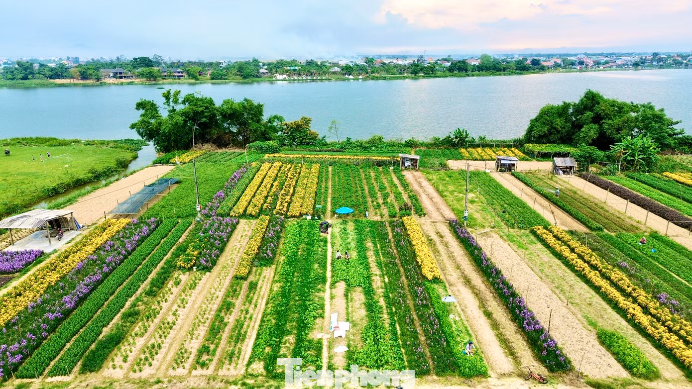 Xã Phú Mậu xưa và nay là phường Dương Nỗ còn có vựa hoa lớn nhất xứ Huế - làng hoa Phú Mậu. Với hàng chục ha đất trồng hoa tập trung ở các vùng Tiên Nộn, Vọng Trì, Thế Vinh, Thanh Tiên, đây là địa phương cung cấp lượng hoa tươi lớn nhất cho Huế và các tỉnh, thành lân cận. Mỗi dịp lễ Tết, nơi đây rộn ràng cảnh mua bán hoa tươi, mang sắc Xuân về khắp miền Trung.