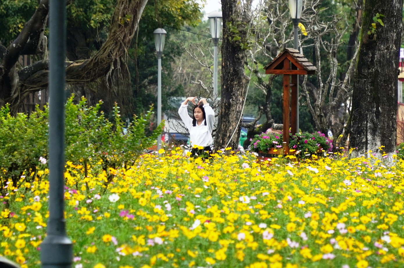 Thiếu nữ tạo dáng chụp ảnh bên hoa viên. Thiếu nữ tạo dáng chụp ảnh bên hoa viên.