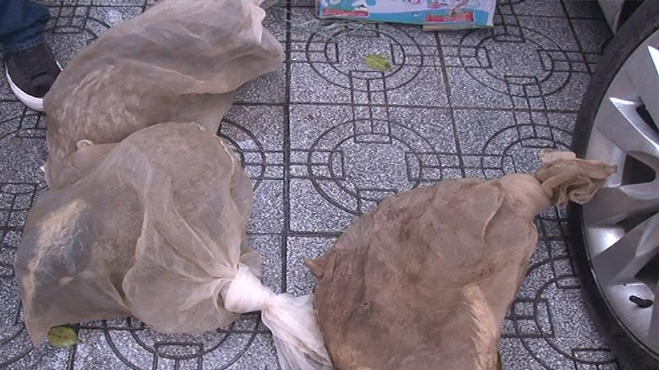 Tang vật cầy hương, cầy vòi, thuốc lá, rượu ngoại nhập lậu Tang vật cầy hương, cầy vòi, thuốc lá, rượu ngoại nhập lậu