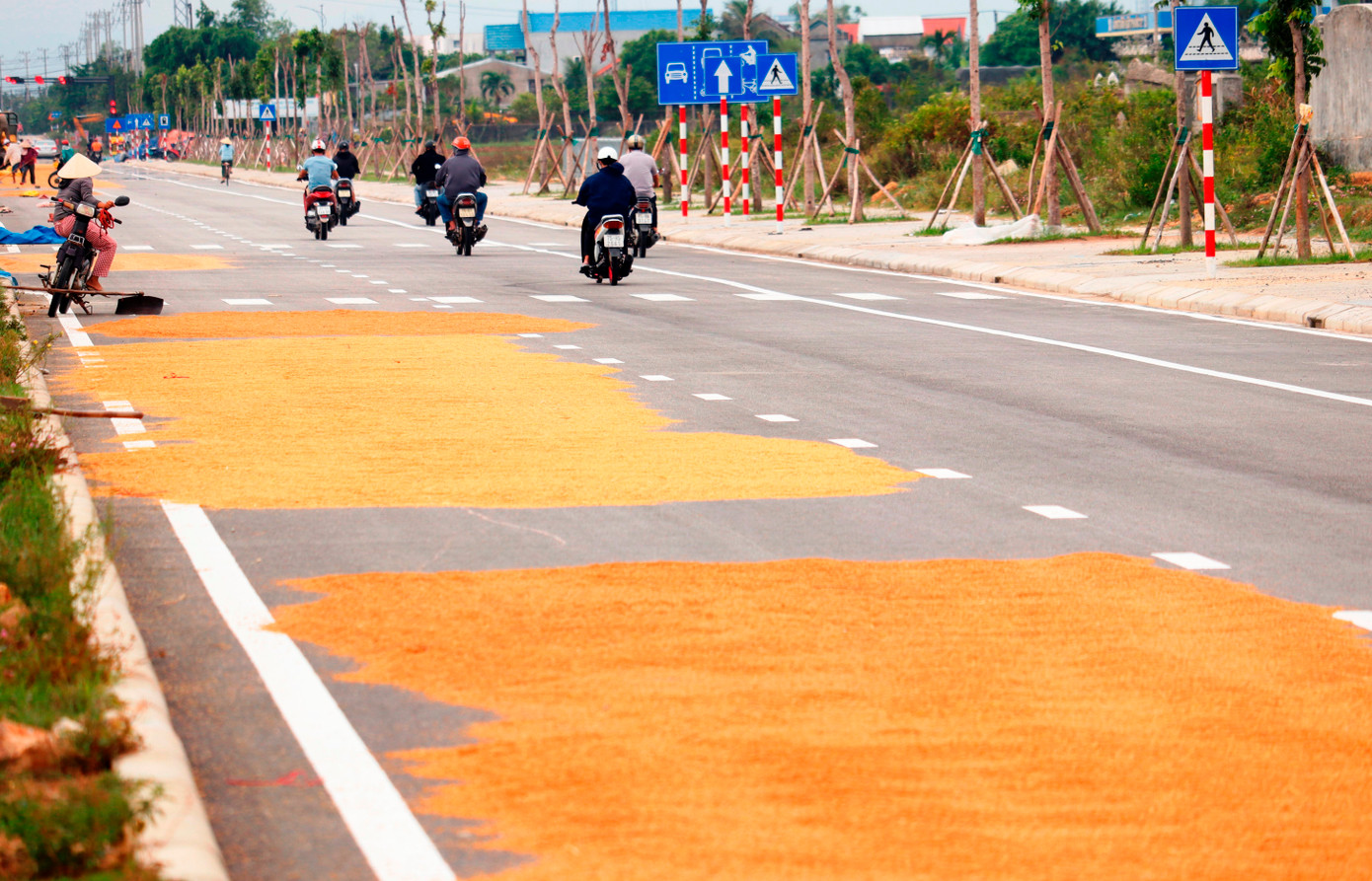 Sân phơi “bất đắc dĩ” này kéo dài cả cây số, gồm ở cả hai bên chiều lưu thông trái, phải của tuyến đường rộng 36 mét.