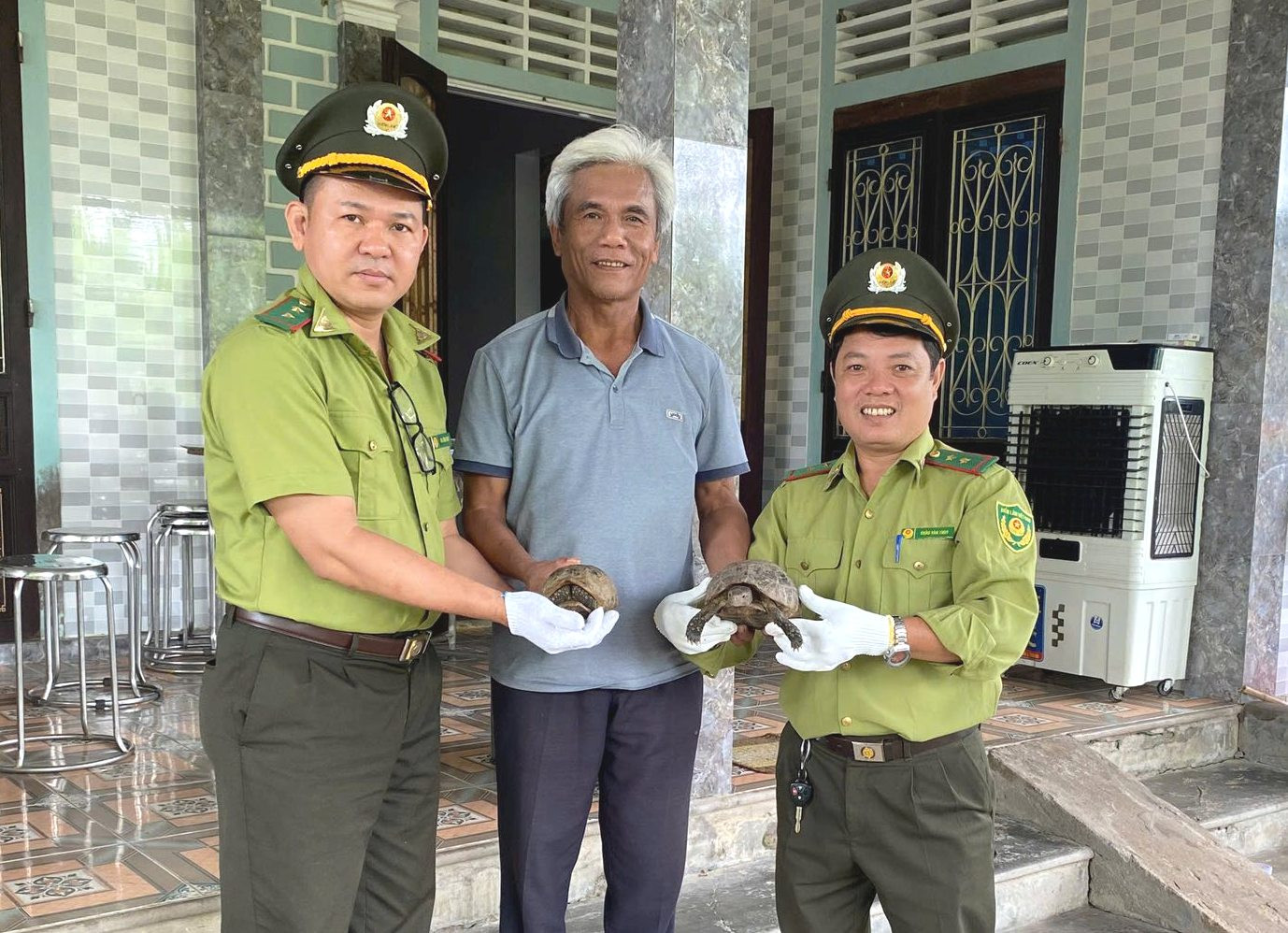 Tiếp nhận 2 cá thể rùa vàng (Indotestudo elongata) thuộc nhóm IIB.