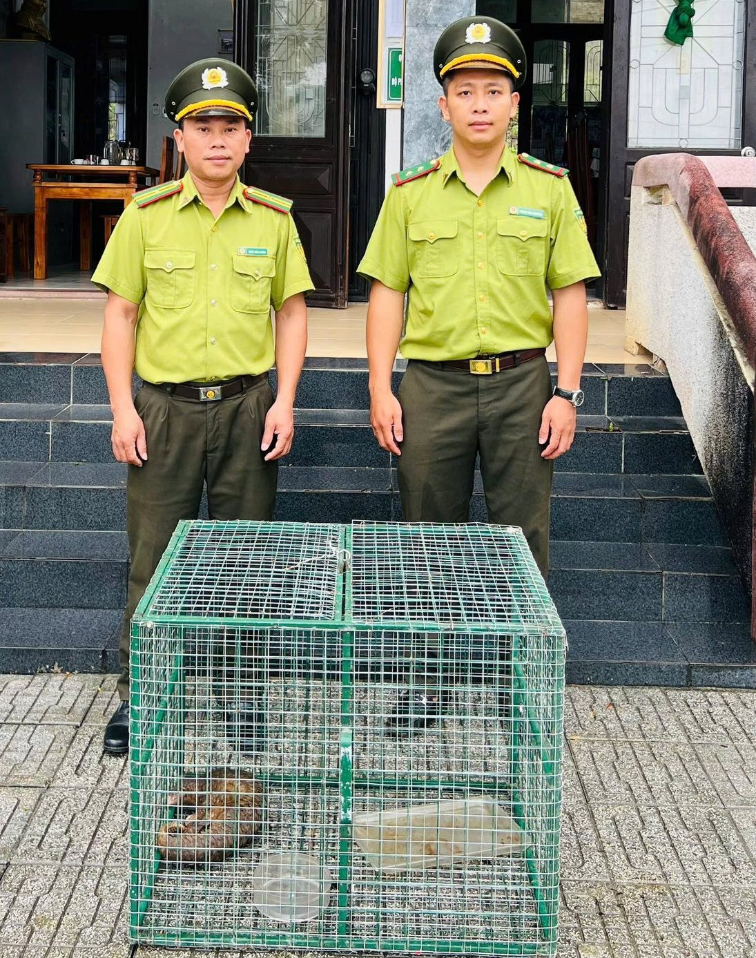 Hạt Kiểm lâm liên quận Thuận Hóa - Phú Xuân tiếp nhận 1 cá thể tê tê Java cực hiếm do người dân tự nguyện giao nộp.