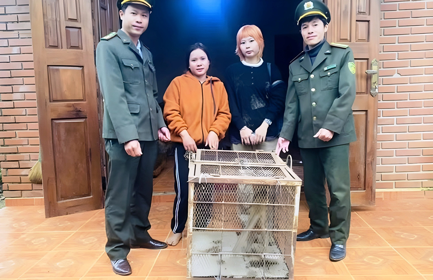 Cơ quan kiểm lâm huyện A Lưới tiếp nhận cá thể khỉ vàng quý hiếm do người dân tự nguyện giao nộp. Cơ quan kiểm lâm huyện A Lưới tiếp nhận cá thể khỉ vàng quý hiếm do người dân tự nguyện giao nộp.