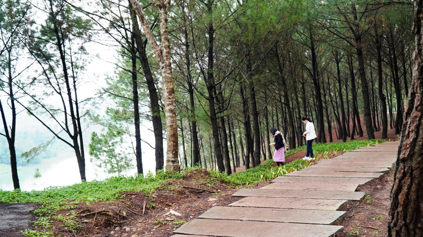 Hiện nay, đơn vị chức năng tiếp tục triển khai, hoàn thiện chỉnh trang đồi Vọng Cảnh với nhiều hạng mục: lát đá các tuyến đường dạo, trồng hoa, tăng cường ghế đá nghỉ chân, trồng thêm cây thông cảnh quan và hệ thống cây xanh dọc đường kết nối đến công viên hoa để tạo điểm nhấn cho khu danh thắng.