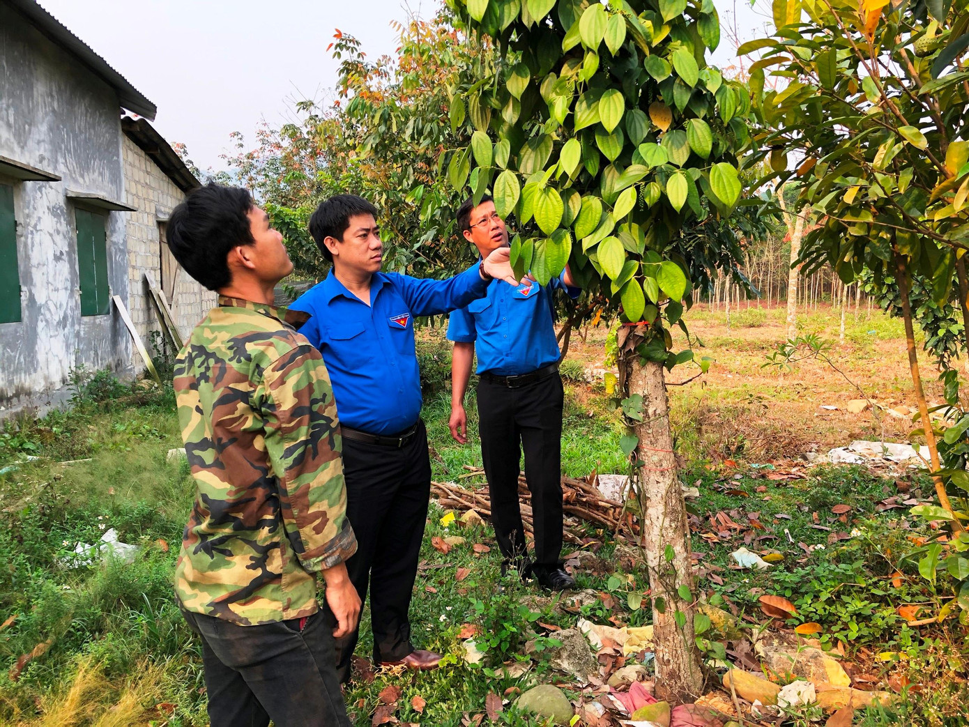 Mô hình phát triển kinh tế trong thanh niên TT-Huế. Mô hình phát triển kinh tế trong thanh niên TT-Huế.