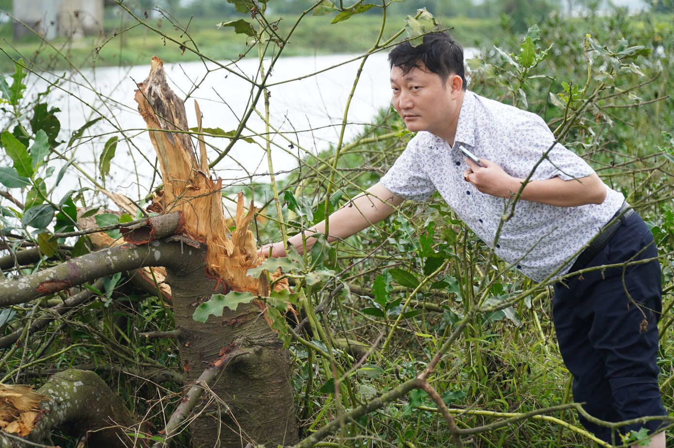 Doanh nghiệp đã san ủi, nạo vét và đắp đê khi gặp cây trồng dọc kênh Hà Đồ mà không báo cáo cho chủ đầu tư để giải quyết. Ảnh: N.V