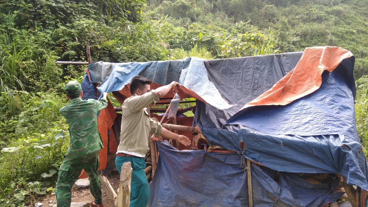 Lực lượng chức năng phá dỡ lán trại do người dân dựng tạm làm nơi ở khi đi đào, đãi vàng. Ảnh: CTV