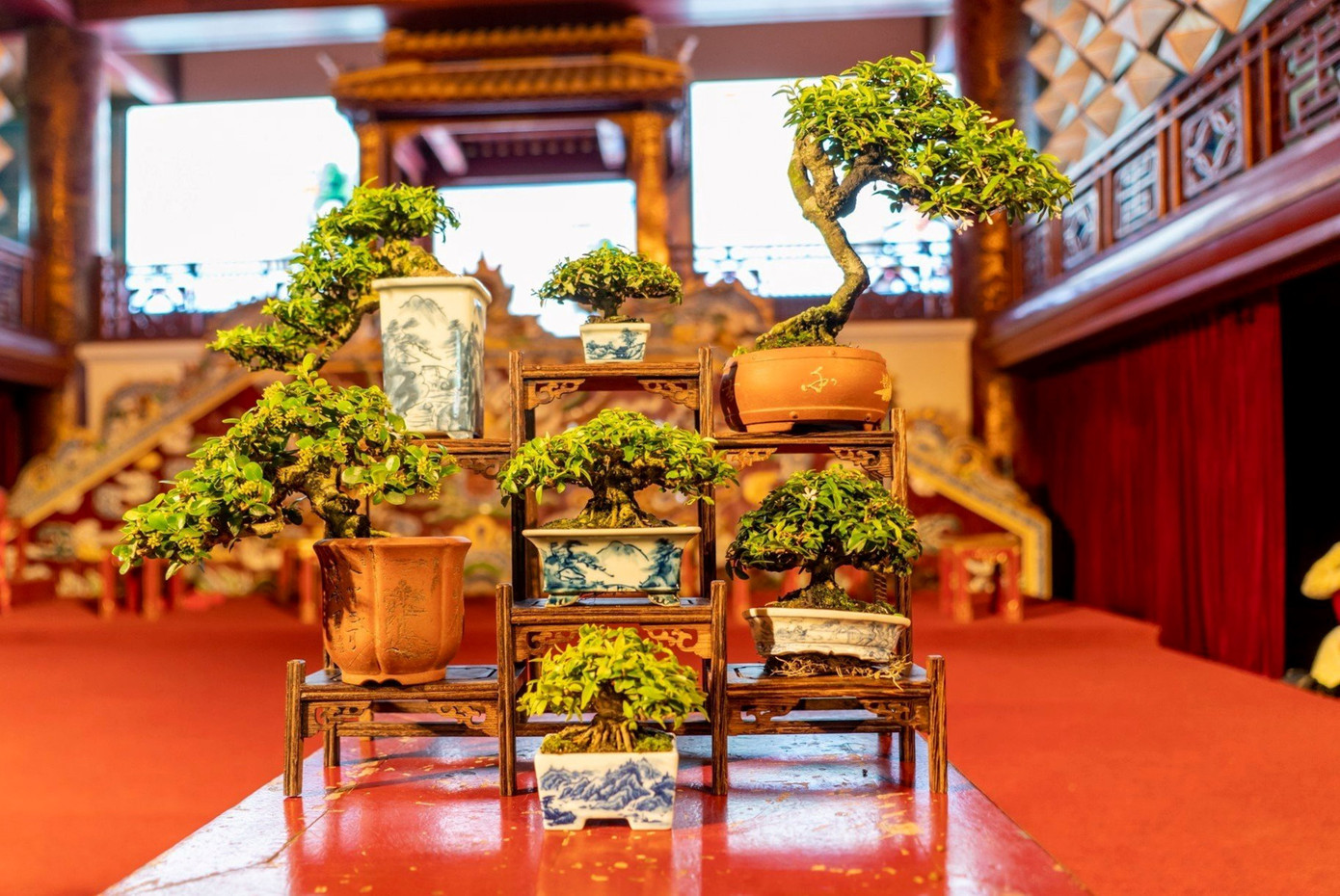 Tại không gian Hoàng cung - Đại nội Huế đang diễn ra triển lãm “Cây kiểng, hoa phong lan ba miền năm 2023” và nhằm phục vụ du khách tham quan Huế dịp nghỉ lễ 30/4, 1/5. Ảnh: TTBTDTCĐ Huế