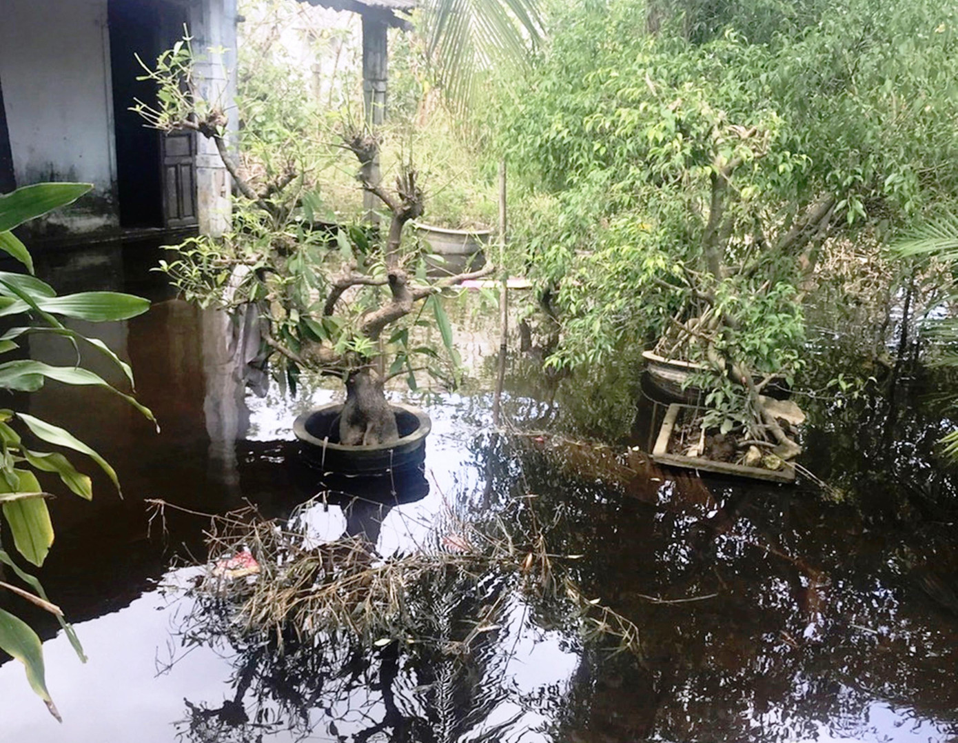 Kết quả kiểm tra của Ban Quản lý KKTCN tỉnh TT-Huế và cơ quan chức năng cho thấy, hệ thống hạ tầng xung quanh khu vực dự án chợ truyền thống Lăng Cô chưa được đầu tư đồng bộ, nước mưa được thu gom chủ yếu vào hệ thống thu gom nước mưa của tuyến đường Nguyễn Văn đang được thi công. Riêng đối với các hộ dân tiếp giáp với dự án, nước mưa được thu gom tạm thời vào hệ thống thoát nước mưa của dự án.