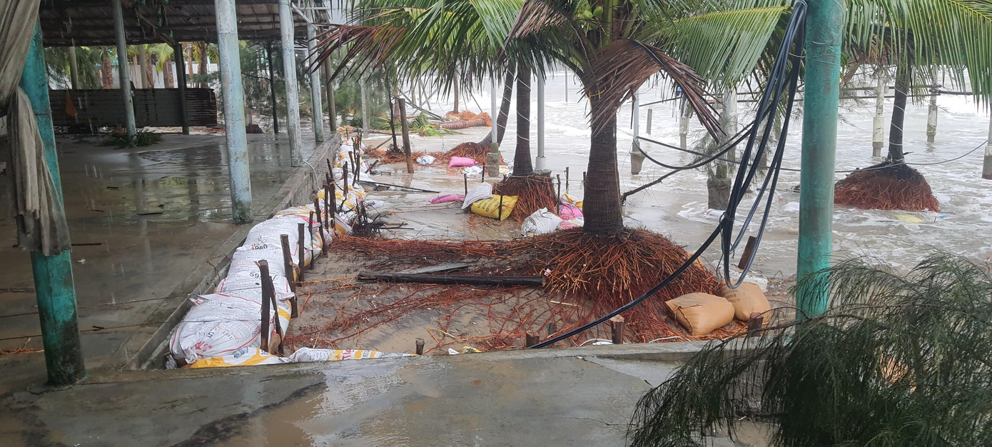 Rừng phòng hộ, nhà cửa, hàng quán tại xã Lộc Vĩnh bị hư hại do sóng biển, triều cường xâm thực.