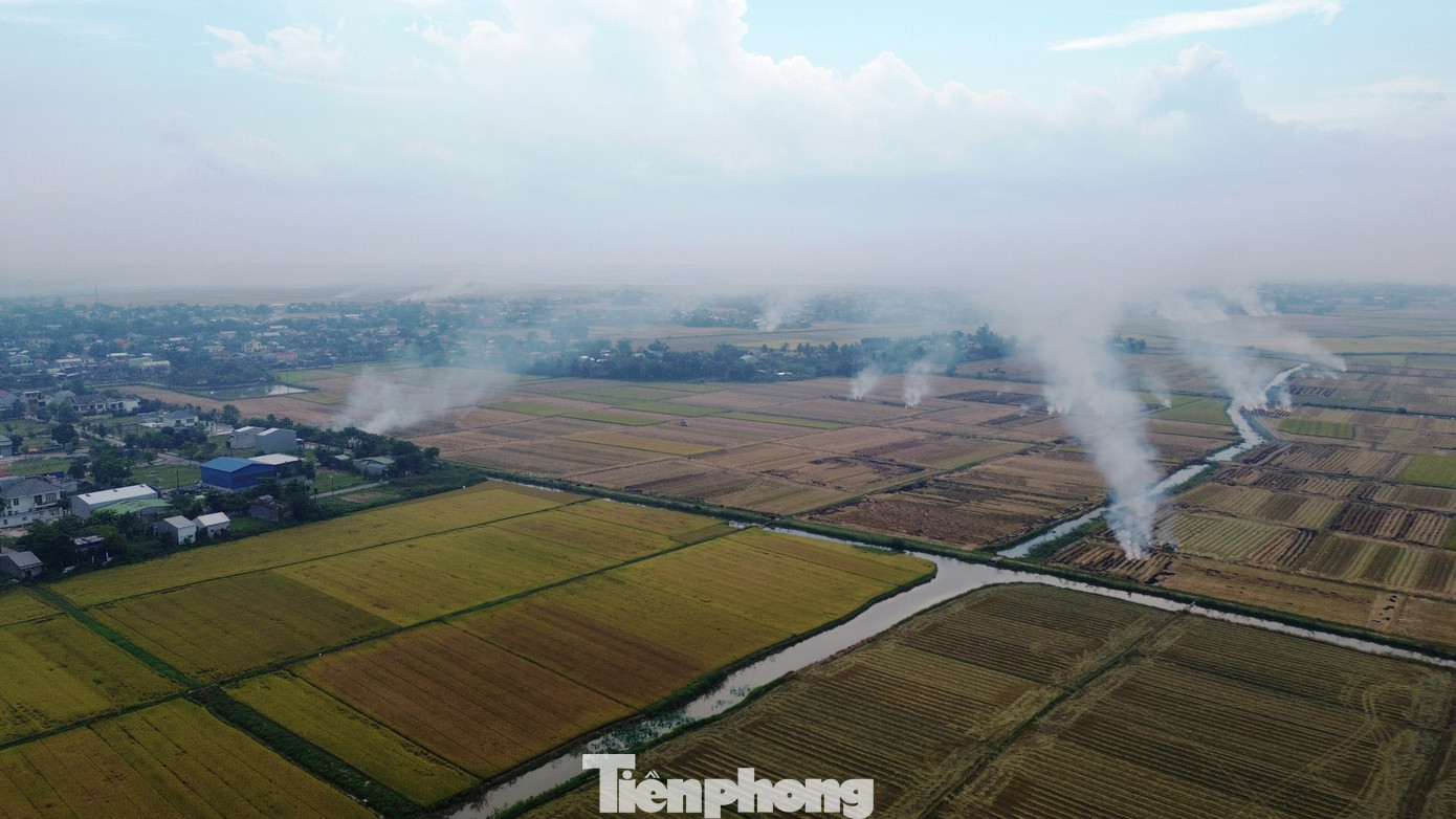 Theo quy định, hành vi đốt ngoài trời phụ phẩm từ cây trồng cạnh khu vực dân cư, sân bay, các tuyến giao thông chính sẽ bị phạt tiền từ 2.500.000 đồng đến 3.000.000 đồng theo Khoản 1, Điều 41 Nghị định 45/2022/NĐ-CP quy định về xử phạt vi phạm hành chính trong lĩnh vực bảo vệ môi trường. Theo quy định, hành vi đốt ngoài trời phụ phẩm từ cây trồng cạnh khu vực dân cư, sân bay, các tuyến giao thông chính sẽ bị phạt tiền từ 2.500.000 đồng đến 3.000.000 đồng theo Khoản 1, Điều 41 Nghị định 45/2022/NĐ-CP quy định về xử phạt vi phạm hành chính trong lĩnh vực bảo vệ môi trường.