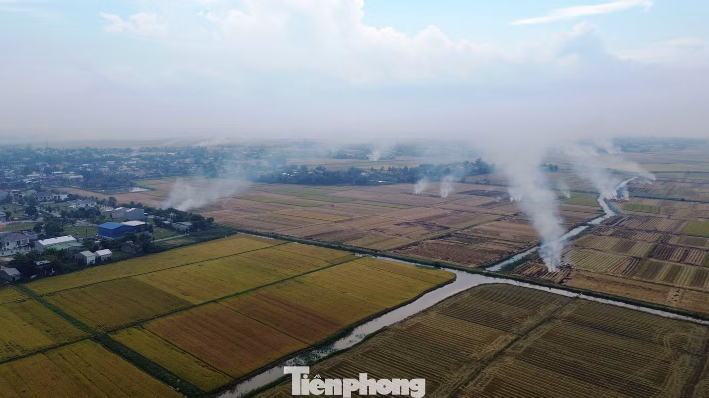 Theo quy định, hành vi đốt ngoài trời phụ phẩm từ cây trồng cạnh khu vực dân cư, sân bay, các tuyến giao thông chính sẽ bị phạt tiền từ 2.500.000 đồng đến 3.000.000 đồng theo Khoản 1, Điều 41 Nghị định 45/2022/NĐ-CP quy định về xử phạt vi phạm hành chính trong lĩnh vực bảo vệ môi trường. Theo quy định, hành vi đốt ngoài trời phụ phẩm từ cây trồng cạnh khu vực dân cư, sân bay, các tuyến giao thông chính sẽ bị phạt tiền từ 2.500.000 đồng đến 3.000.000 đồng theo Khoản 1, Điều 41 Nghị định 45/2022/NĐ-CP quy định về xử phạt vi phạm hành chính trong lĩnh vực bảo vệ môi trường.