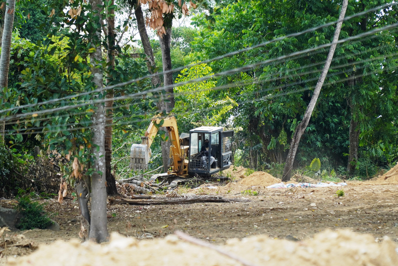 Để từng bước cụ thể hóa phương án đầu tư, quy hoạch cồn Dã Viên theo ý tưởng mới, sau khi hoàn thiện khu vực công viên cây xanh tại mũi đất phía đông của hòn đảo, Trung tâm Công viên Cây xanh Huế hiện xúc tiến đầu tư, chỉnh trang công viên phần đất phía tây, với diện tích rộng hơn. Để từng bước cụ thể hóa phương án đầu tư, quy hoạch cồn Dã Viên theo ý tưởng mới, sau khi hoàn thiện khu vực công viên cây xanh tại mũi đất phía đông của hòn đảo, Trung tâm Công viên Cây xanh Huế hiện xúc tiến đầu tư, chỉnh trang công viên phần đất phía tây, với diện tích rộng hơn.