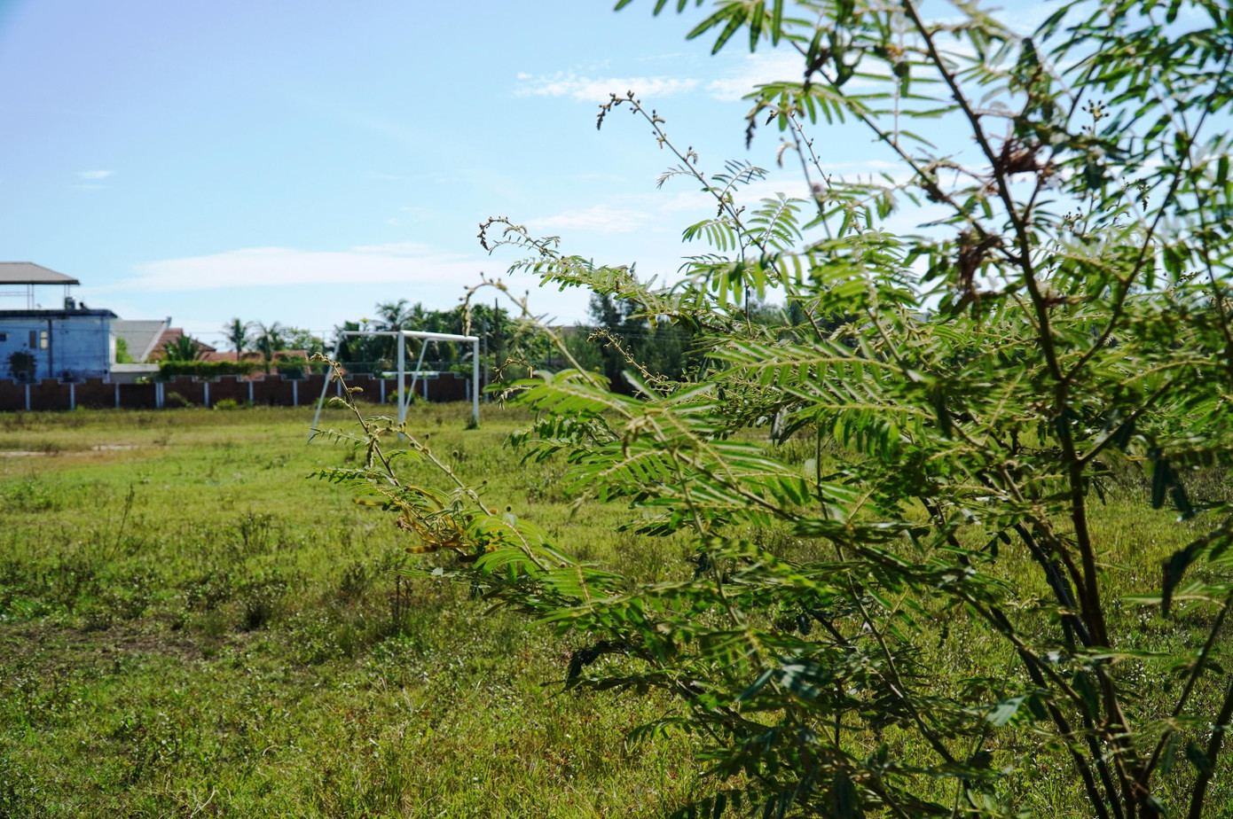 Cỏ dại, cây cối mọc um tùm tại sân bóng thuộc trung tâm văn hóa thể thao tiền tỷ. Ảnh: N.V