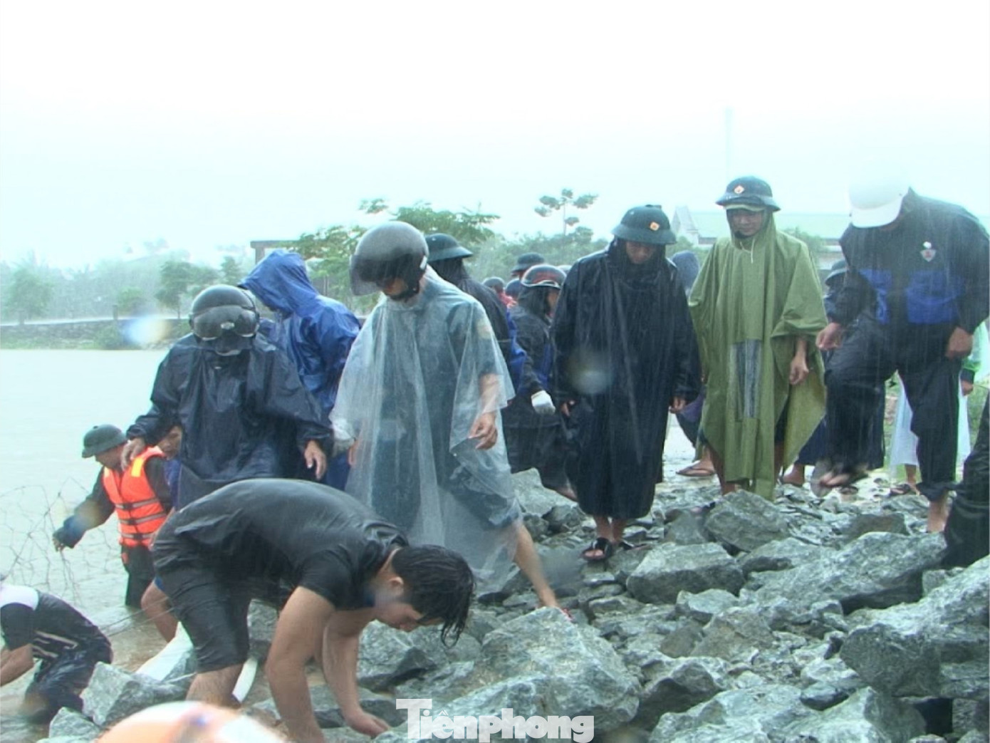 Ngoài địa bàn Phú Vang, mưa lớn nhiều ngày còn uy hiếp tuyến đê bao bảo vệ hàng trăm hồ nuôi thủy sản và nhà dân tại xã Quảng Phước (huyện Quảng Điền). Bộ Chỉ huy Quân sự tỉnh TT-Huế đã huy động 100 cán bộ, chiến sĩ phối hợp lực lượng địa phương hộ đê, bảo đảm an toàn cho công trình này.