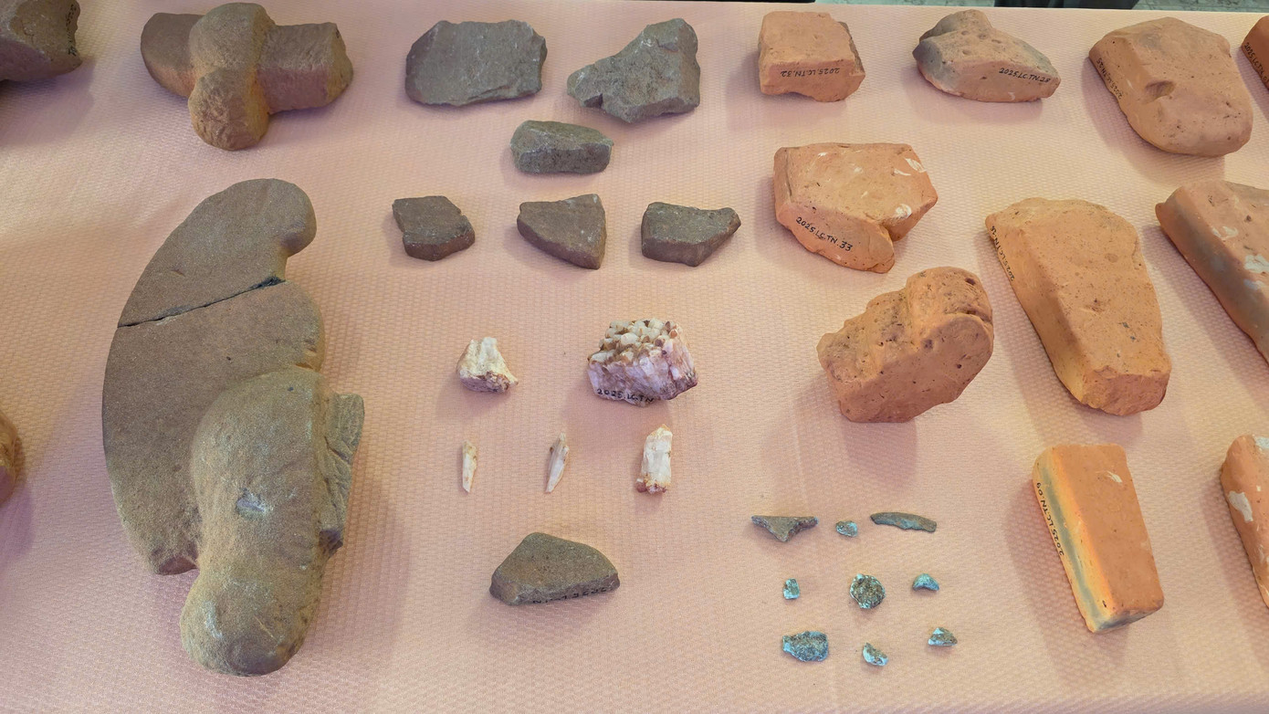 Phát hiện số lượng tiêu bản hiện vật đồ sộ lên tới hơn 9.000 mẫu.