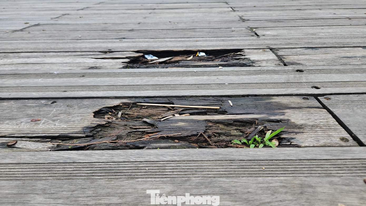 Thường xuyên dạo bộ trên cầu gỗ lim để ngắm cảnh và tập thể dục, anh Nguyễn Quý Thuận (trú tại thành phố Huế) cảm thấy bất an khi chứng kiến nhiều thanh gỗ lát sàn cầu bị mục hỏng, đứt gãy. “Tôi thường xuyên chạy bộ trên cầu gỗ lim. Công trình xuất hiện nhiều điểm hư hỏng bề mặt dễ gây trượt ngã cho người dạo bộ. Rất mong cơ quan quản lý cầu sớm có biện pháp khắc phục, sửa chữa để người dân an tâm khi dạo bộ, tập thể dục, ngắm cảnh tại đây” - anh Thuận nói.