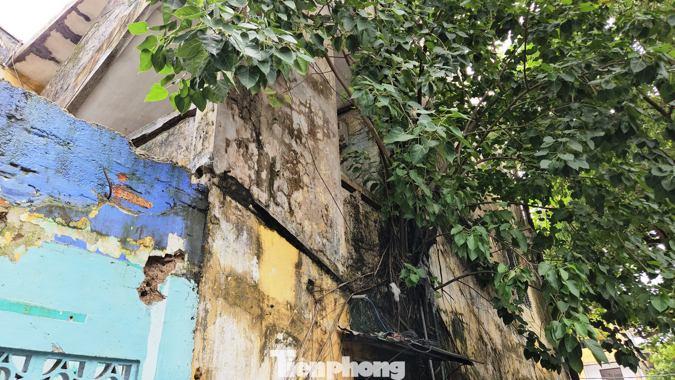 Trên cơ sở đó, đơn vị tư vấn kết luận, các dãy nhà A, B, C thuộc trường hợp phải cải tạo, xây dựng lại theo Luật nhà ở. Còn theo UBND TP. Huế, việc cải tạo khu chung cư Đống Đa nhằm đảm an toàn tài sản, tính mạng cho người dân, mỹ quan đô thị. Công trình cải tạo, xây dựng nhằm tạo nơi ở mới an toàn, khang trang; quyền lợi của người dân cũng phải được đảm bảo sau khi thực hiện cải tạo khu chung cư.