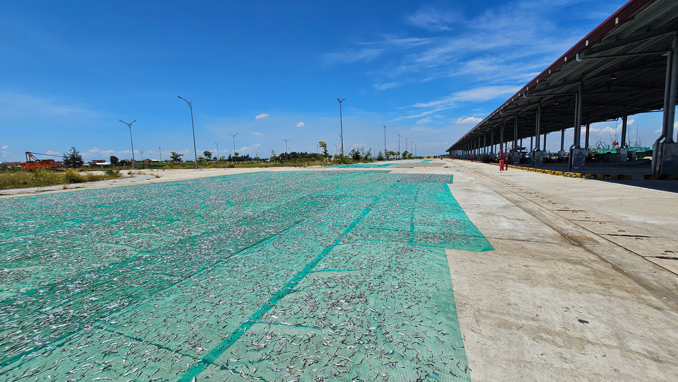 Việc chậm công bố mở cảng đối với cảng cá Thuận An khiến khu hạ tầng nghề cá nơi đây bị bỏ phí, được người dân tận dụng làm sân phơi hải sản vào mùa nắng.