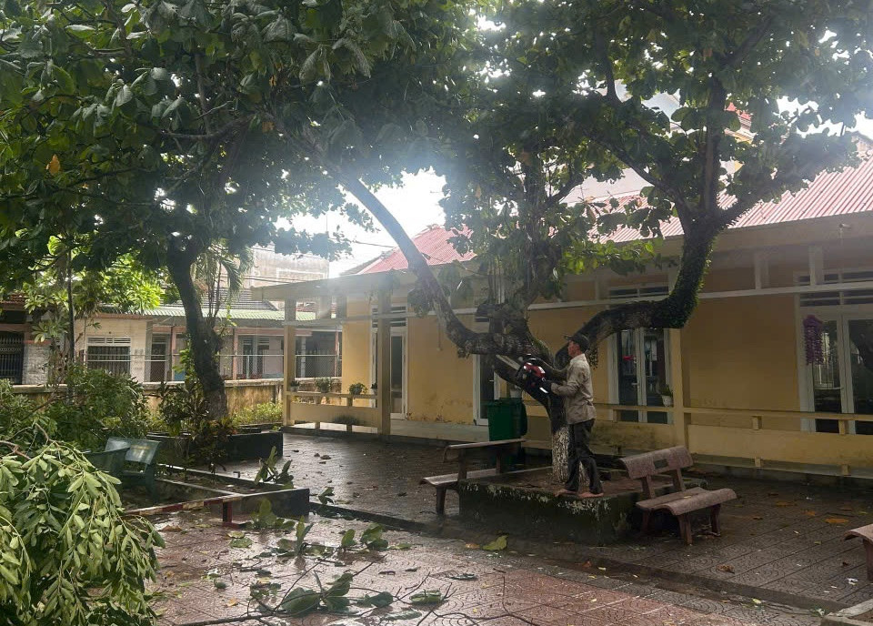 Cắt tỉa cây xanh tại trường học ở Phú Vang trước khi bão đổ bộ.