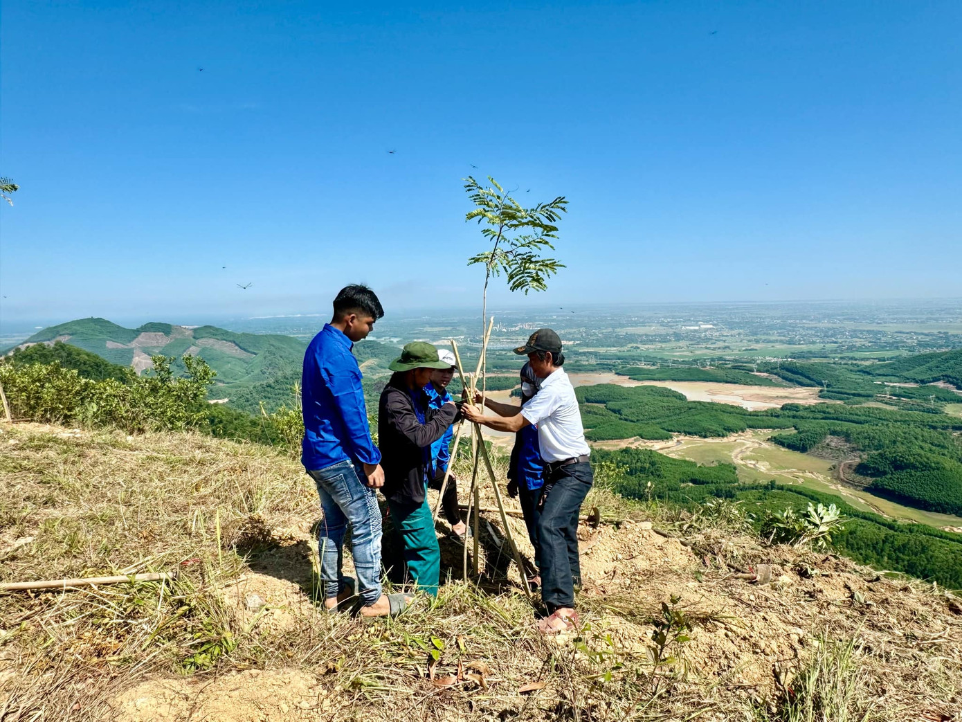 Những người trẻ chung tay tạo thêm môi trường xanh cho hòn Vượn.