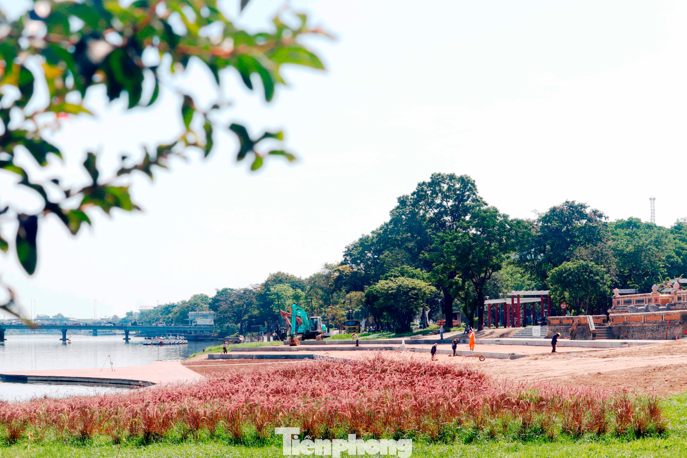 Cạnh sân khấu nổi ngoài trời ven sông Hương là hệ thống công viên xanh mát, dòng nước sông êm đềm, giao thông thuận lợi, kết nối hệ thống đường dạo bằng gỗ lim đầy sáng tạo và mới lạ. Cạnh sân khấu nổi ngoài trời ven sông Hương là hệ thống công viên xanh mát, dòng nước sông êm đềm, giao thông thuận lợi, kết nối hệ thống đường dạo bằng gỗ lim đầy sáng tạo và mới lạ.