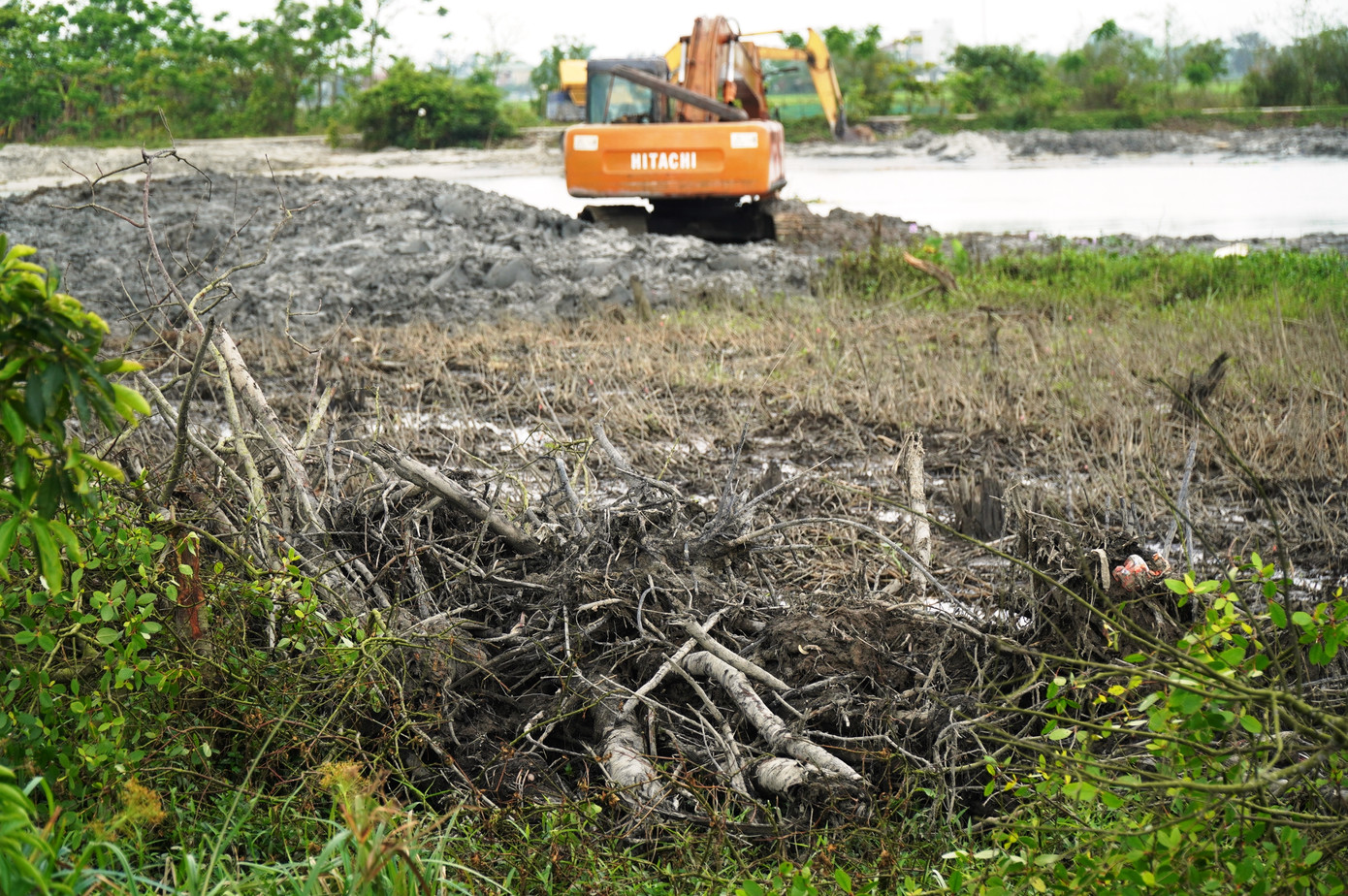 Rừng ngập mặn bị phá là do tắc trách trong xác định ranh giới mặt bằng sử dụng giữa dự án rừng ngập mặn và dự án thoát lũ của chính quyền địa phương và cơ quan chức năng huyện Quảng Điền. Rừng ngập mặn bị phá là do tắc trách trong xác định ranh giới mặt bằng sử dụng giữa dự án rừng ngập mặn và dự án thoát lũ của chính quyền địa phương và cơ quan chức năng huyện Quảng Điền.