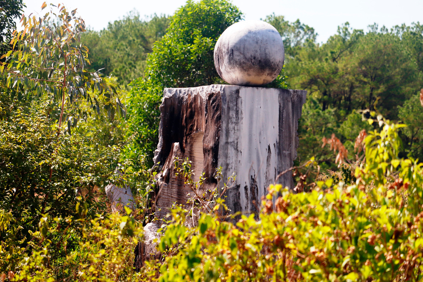 Năm 2020, khi kiểm tra khu công viên Thủy Tiên bị bỏ hoang, Chủ tịch UBND tỉnh TT-Huế lúc bấy giờ là ông Phan Ngọc Thọ từng nêu ý tưởng, đặt vấn đề về việc hình thành công viên văn hóa phục vụ cộng đồng, cảnh quan nơi đây, gắn với xây dựng một không gian sáng tạo đương đại, công viên vườn tượng…