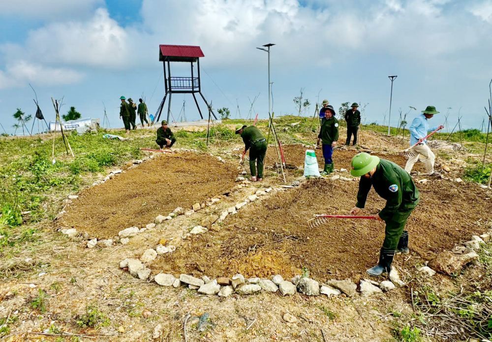 Tổ chức trồng hoa trên núi Hòn Vượn. Tổ chức trồng hoa trên núi Hòn Vượn.