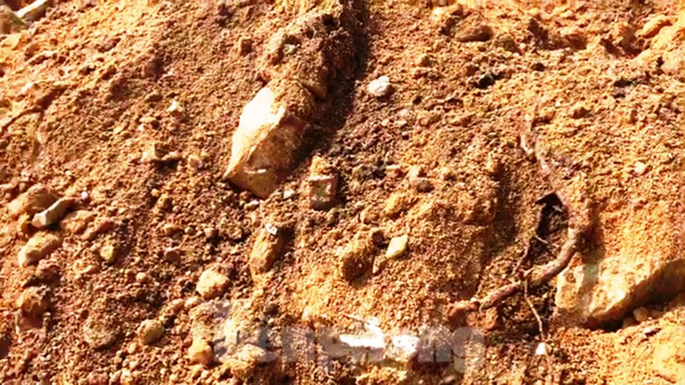 Đất đắp nền lẫn tạp chất, rễ cây, đá tảng. Ảnh: N.V Đất đắp nền lẫn tạp chất, rễ cây, đá tảng. Ảnh: N.V