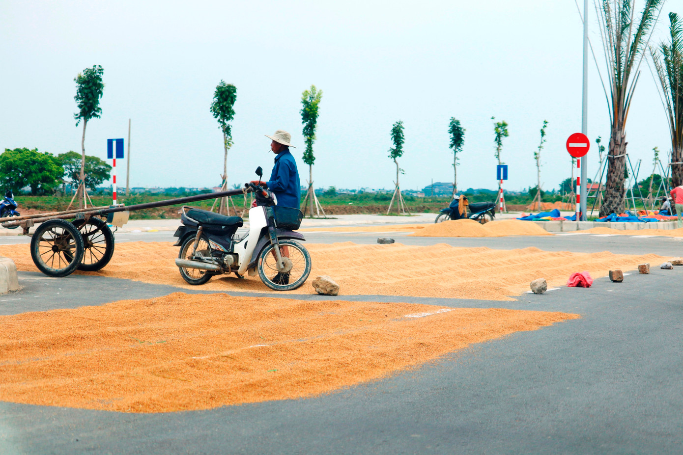 Đại diện lãnh đạo UBND huyện Phú Vang cho biết, sau khi nhận phản ảnh sẽ cho kiểm tra, chấn chỉnh tình trạng gây mất an toàn giao thông trên tuyến đường mới này.