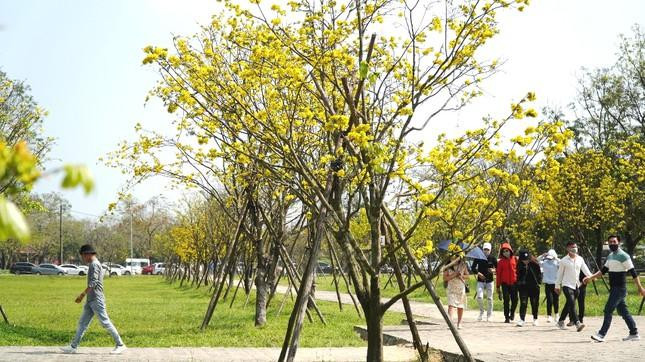 TT-Huế chuẩn bị các điều kiện phục vụ nhân dân đón mừng năm mới 2022 và vui Xuân, đón Tết Nguyên đán Nhâm Dần lành mạnh, an toàn, tiết kiệm TT-Huế chuẩn bị các điều kiện phục vụ nhân dân đón mừng năm mới 2022 và vui Xuân, đón Tết Nguyên đán Nhâm Dần lành mạnh, an toàn, tiết kiệm