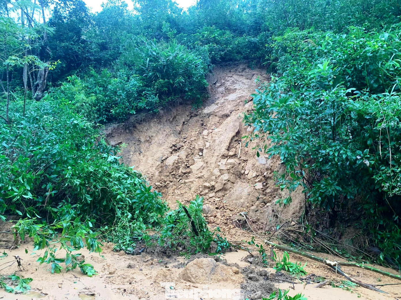 Mưa lũ có khả năng gây sạt lở đất, sạt trượt đồi núi tại TT-Huế.