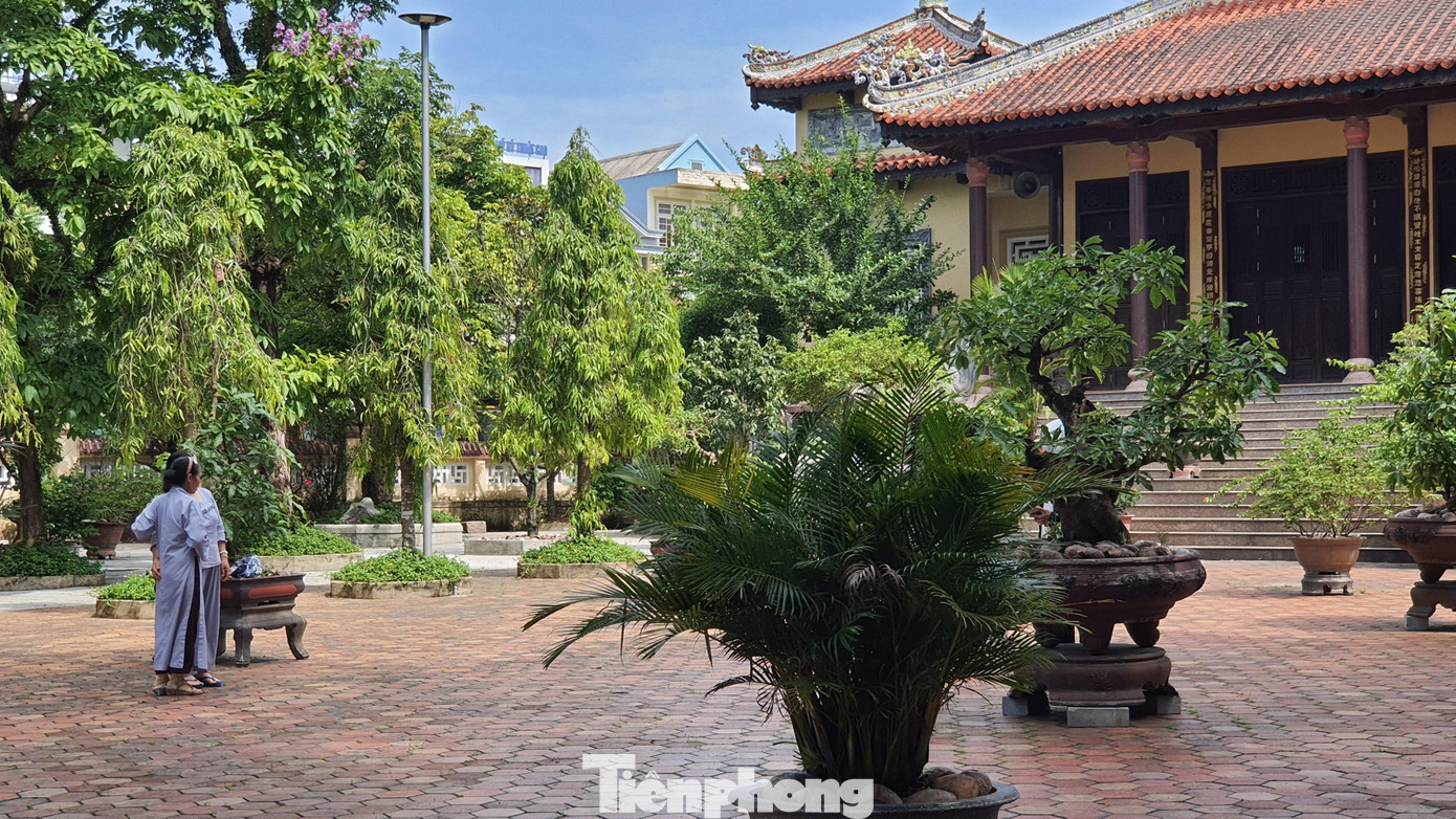 Từ Đàm là nơi thường xuyên đón nhiều du khách, khách hành hương, phật tử, tín hữu đến tham quan, lễ chùa