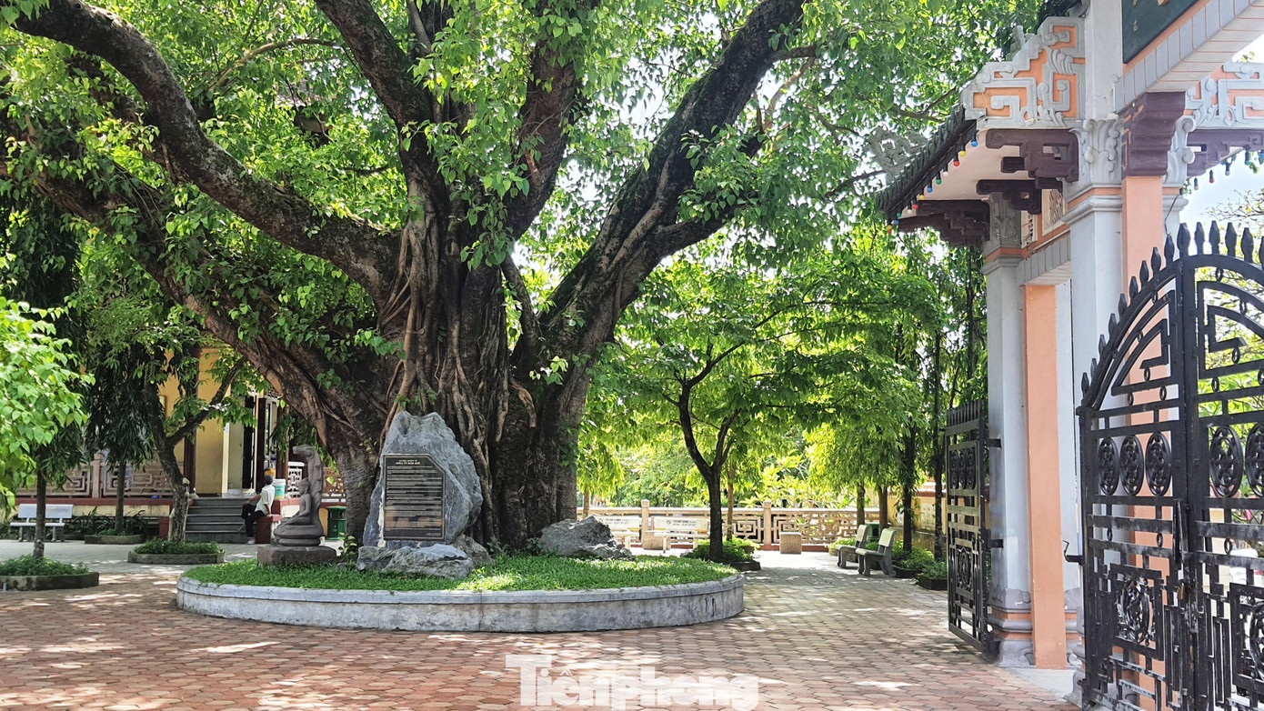 Tên gọi Từ Đàm của ngôi chùa nổi tiếng này do chính vua Thiệu Trị đặt. Ảnh: N.V