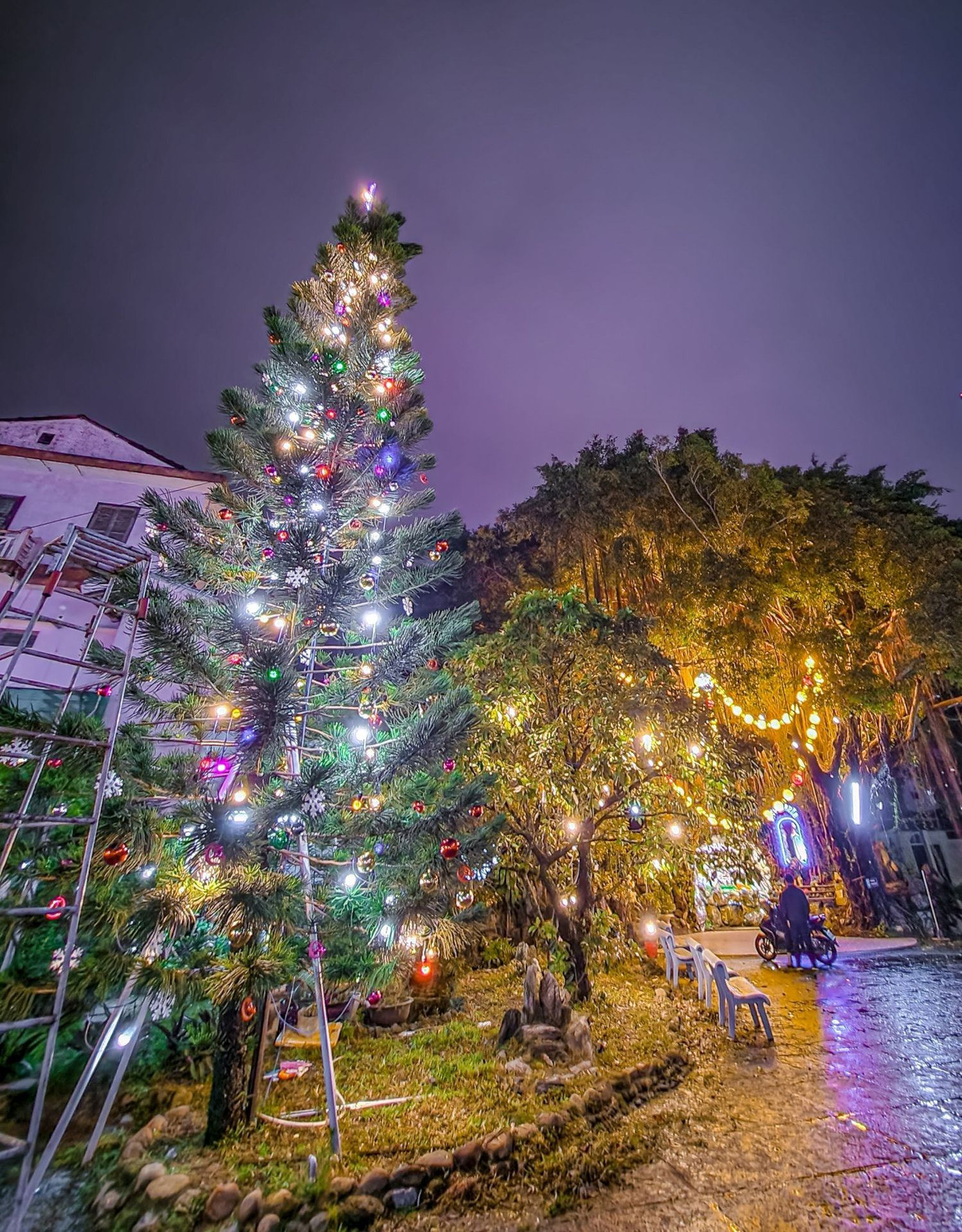 Sắc màu mùa Giáng sinh có thể bắt gặp tại nhiều nơi ở Huế. Ảnh: Xuân Đạt