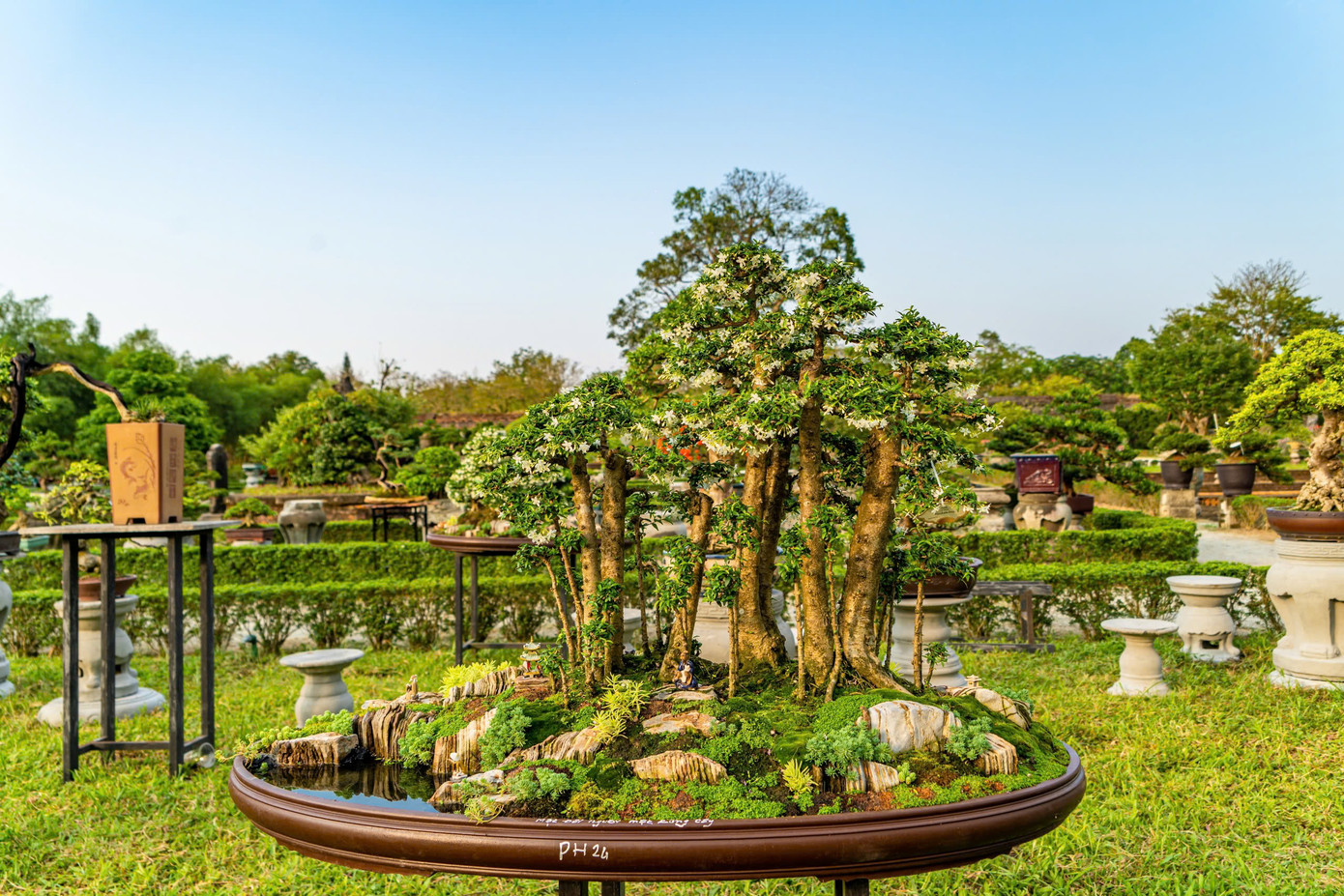 Các tác phẩm được trưng bày tại vườn Thiệu Phương (trưng bày phong lan) và vườn Cơ Hạ (trưng bày cây kiểng, đá cảnh), tạo sự hài hòa trong không gian cung đình cổ kính, vương giả.