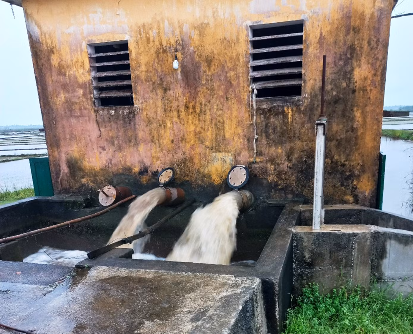 Các trạm bơm của Công ty Quản lý Khai thác Công trình Thủy lợi tỉnh TT-Huế hoạt động hết công suất 24/24h để tiêu úng, cứu lúa.