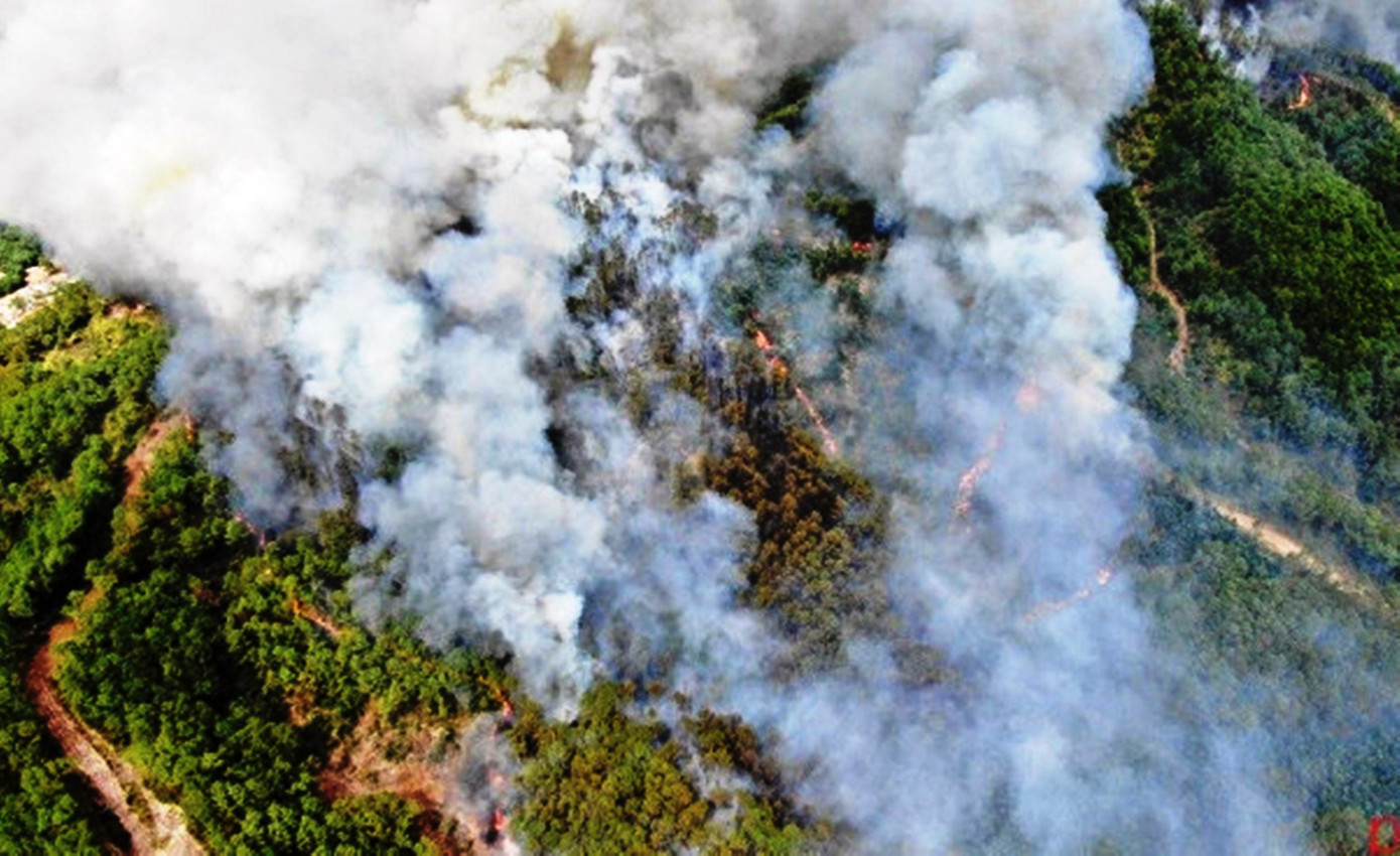 Rừng thông tại Hương Thủy thời điểm bị cháy. Ảnh CTV Rừng thông tại Hương Thủy thời điểm bị cháy. Ảnh CTV