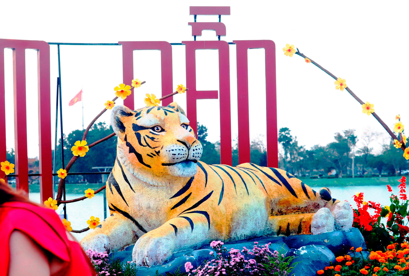 Những chú hổ tại đây được đánh giá có vẻ ngoài đáng yêu, ngược với sự đáng sợ vốn dĩ thuộc về loài này.