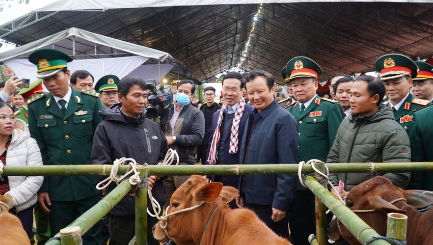 Tặng bò giống cho nông dân nghèo A Lưới.