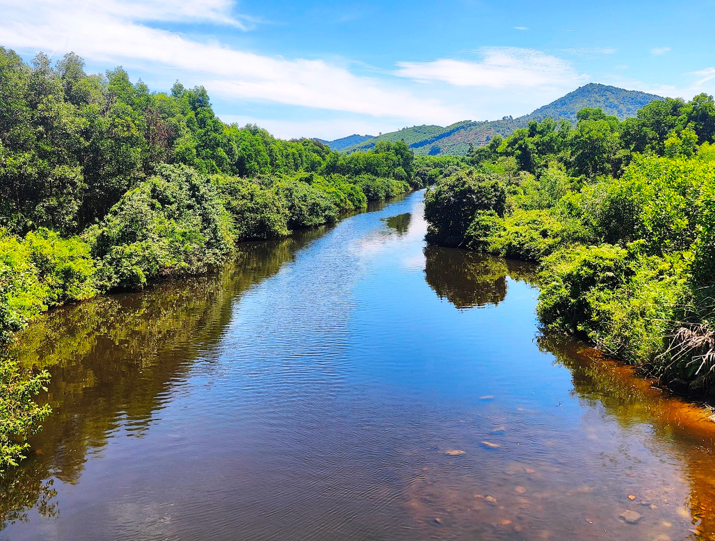 Đoạn sông Mỹ Gia có chất lượng nước không đảm bảo cho sự sinh trưởng, phát triển của cá và các loài thủy sinh. Đoạn sông Mỹ Gia có chất lượng nước không đảm bảo cho sự sinh trưởng, phát triển của cá và các loài thủy sinh.