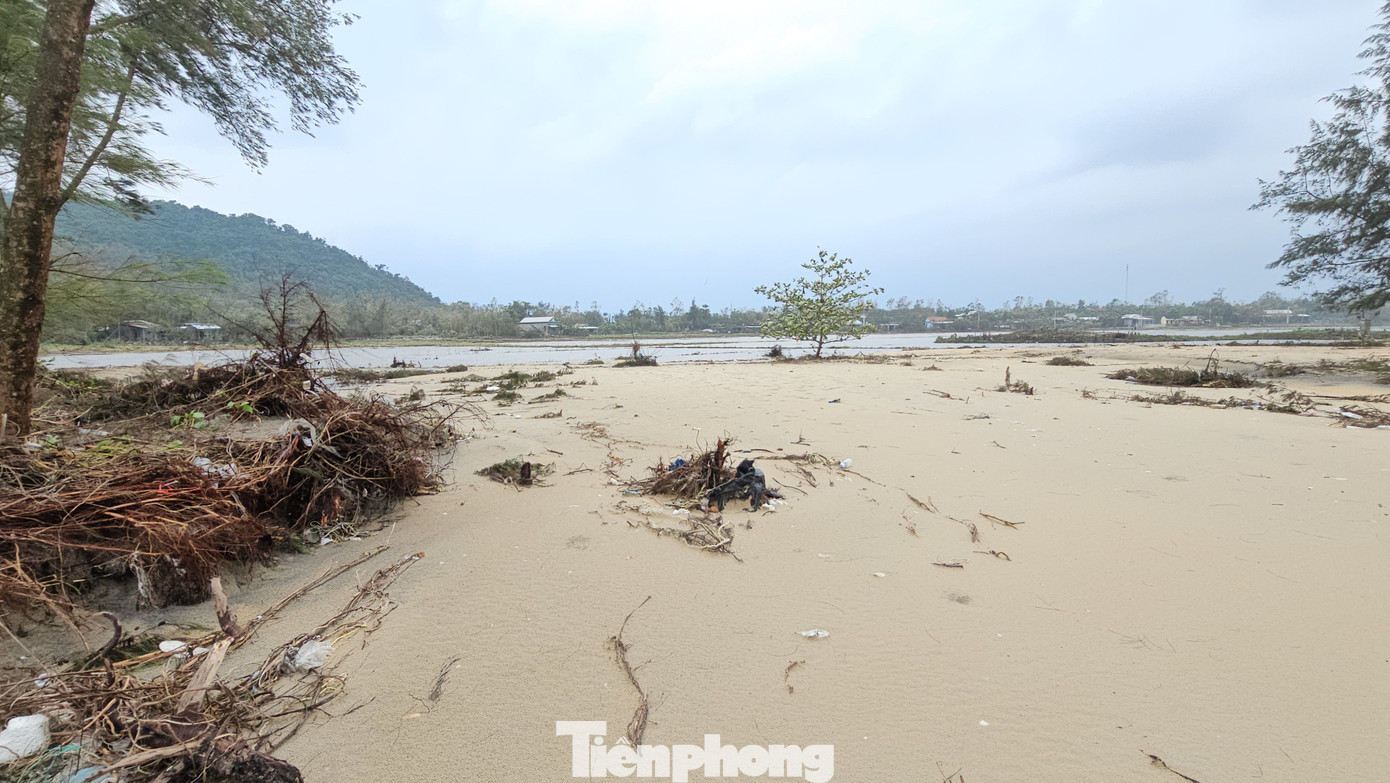 Tìm hiểu của PV, hơn 10 năm trước, các khu rừng phòng hộ dày đặc ven biển tại thôn Mỹ Cảnh (xã Vinh Hải, nay là Giang Hải) luôn tạo tấm lá chắn có bề rộng hàng trăm mét ngăn cách an toàn giữa biển với ruộng đồng, đường sá, các khu nuôi trồng thủy sản bên trong mỗi khi xảy ra thiên tai. Tuy nhiên, vài năm trở lại đây, khi những cánh rừng phòng hộ dần biến mất do bị sóng xâm thực dữ dội, nơi đây chỉ còn trơ trọi những cồn bãi cát hẹp.