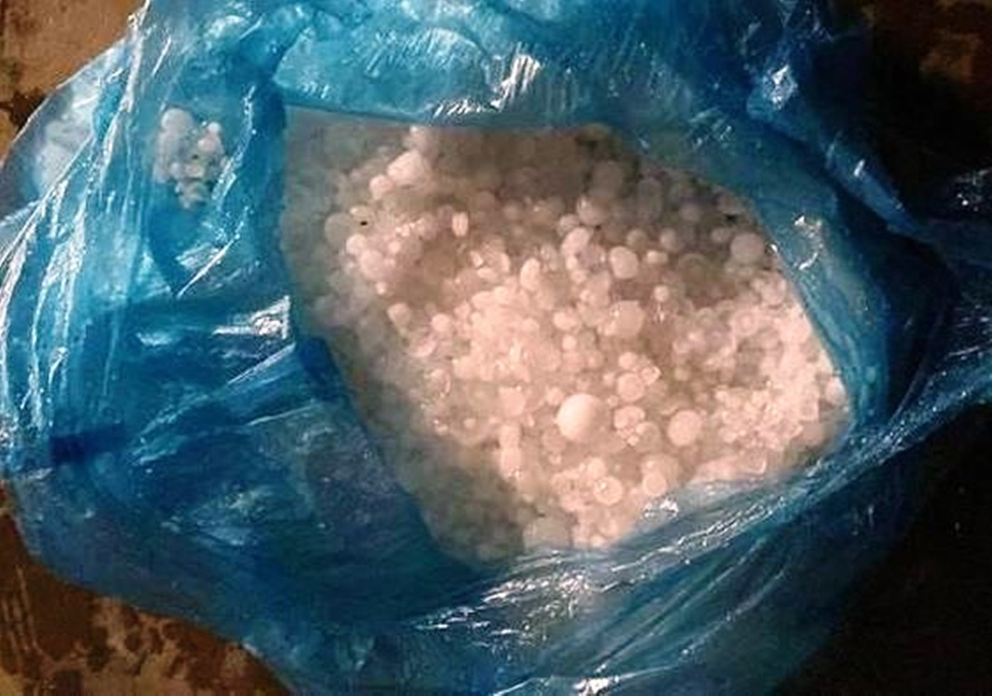 Hạt mưa đá được gom lại trong các túi nilon. Ảnh: CTV